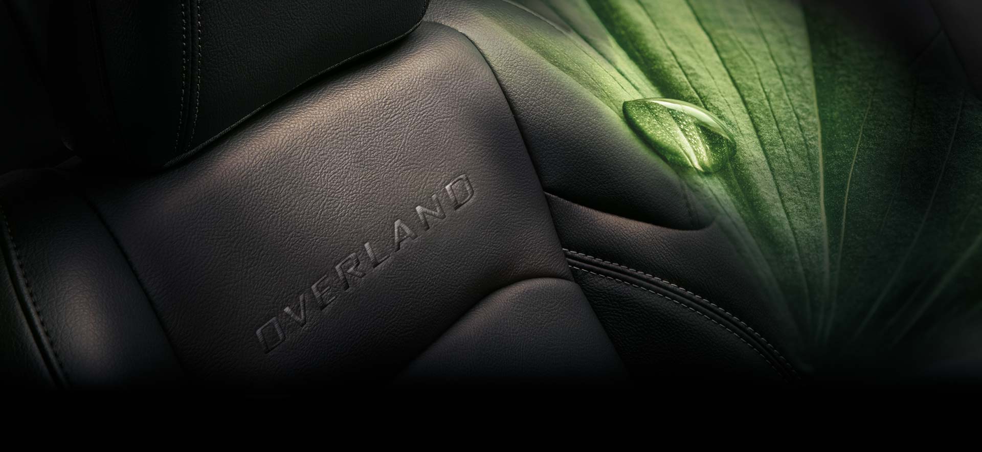 WRANGLER OVERLAND